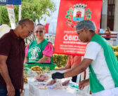 1ª edição da Feira da Agricultura Familiar valoriza o trabalho do pequeno agricultor obidense