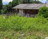 Prefeitura de Óbidos intensifica fiscalização e reforça combate a terrenos abandonados com mato e lixo